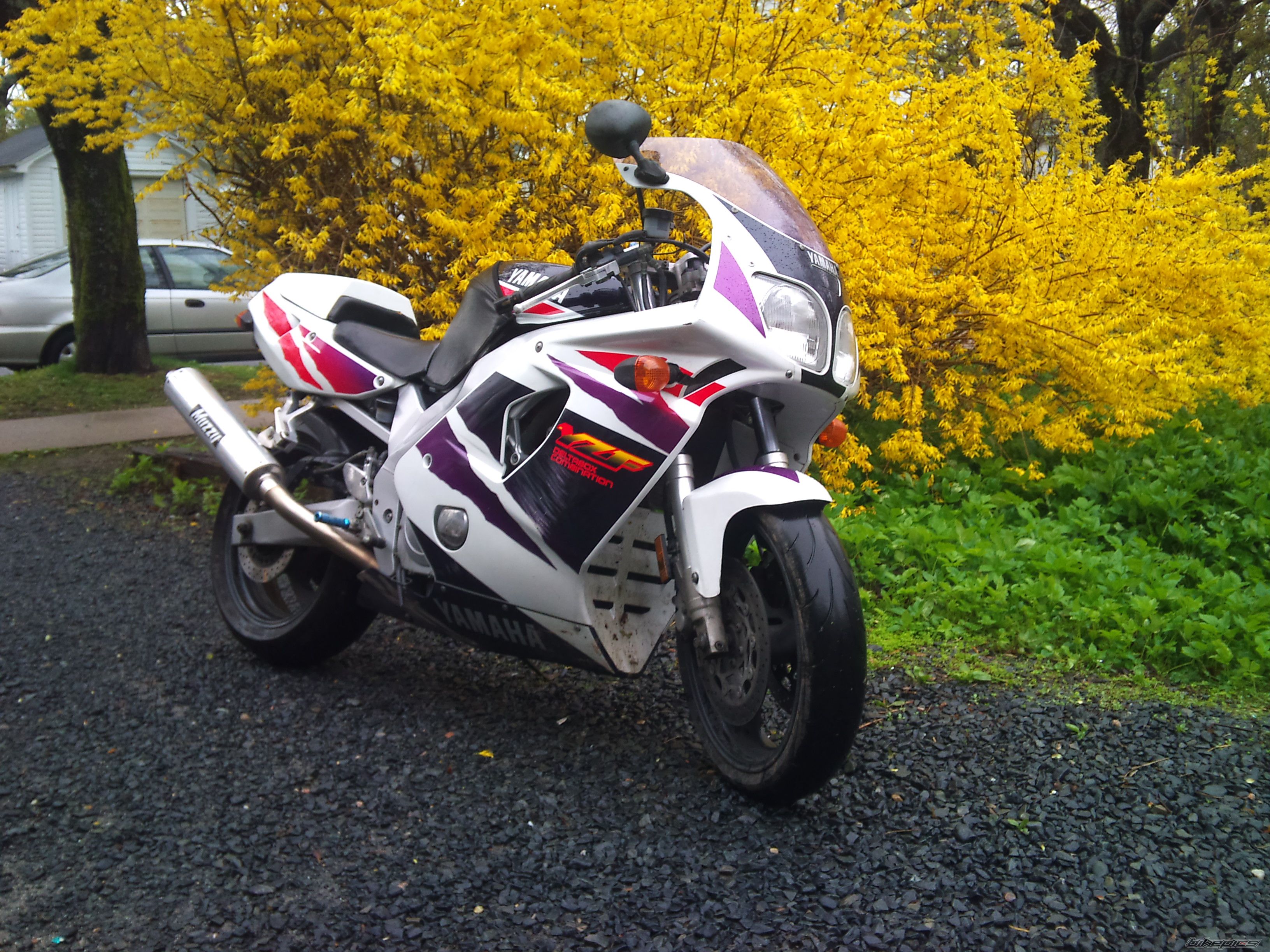Photo 2224623