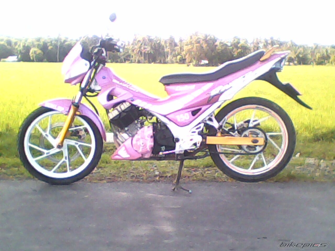 Photo 2224854