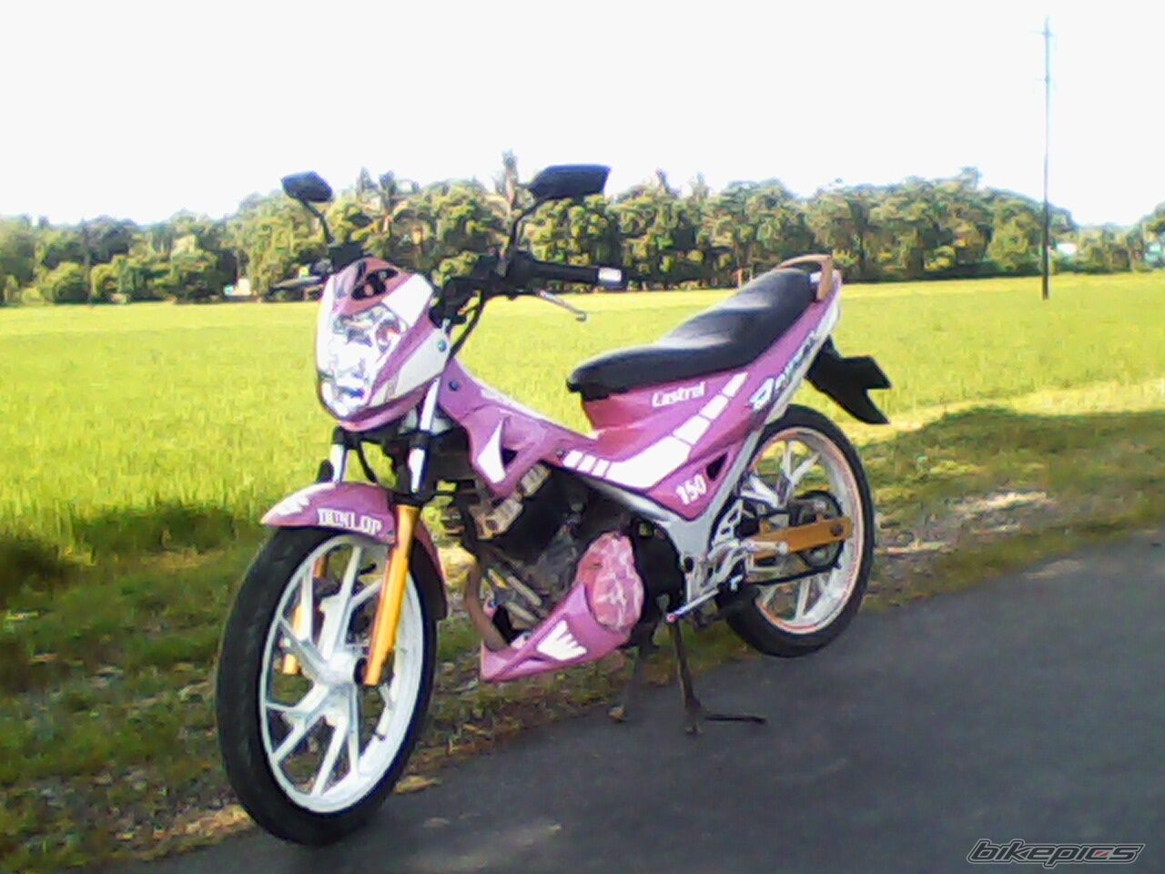 Photo 2224855