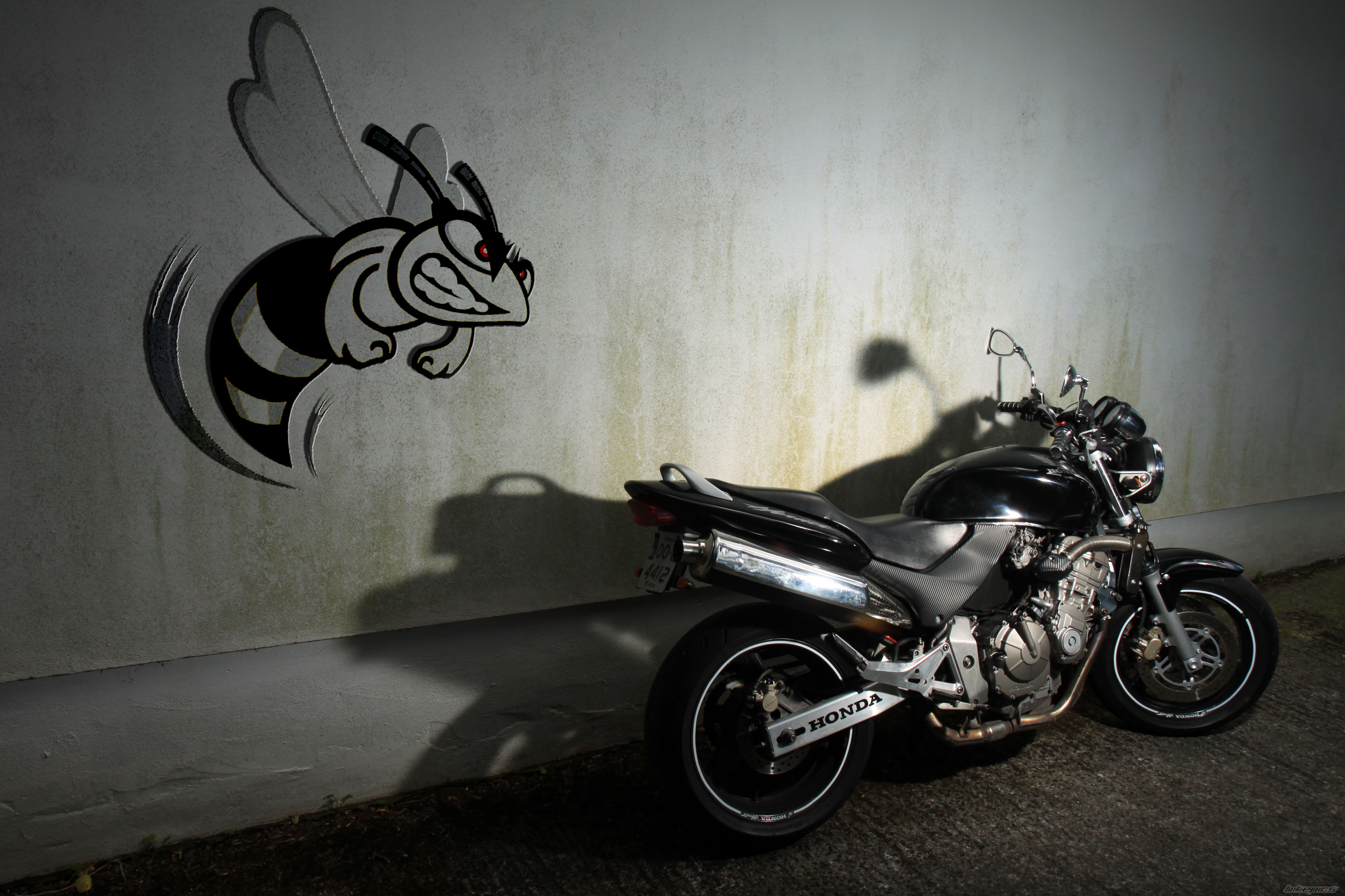 Photo 2224963