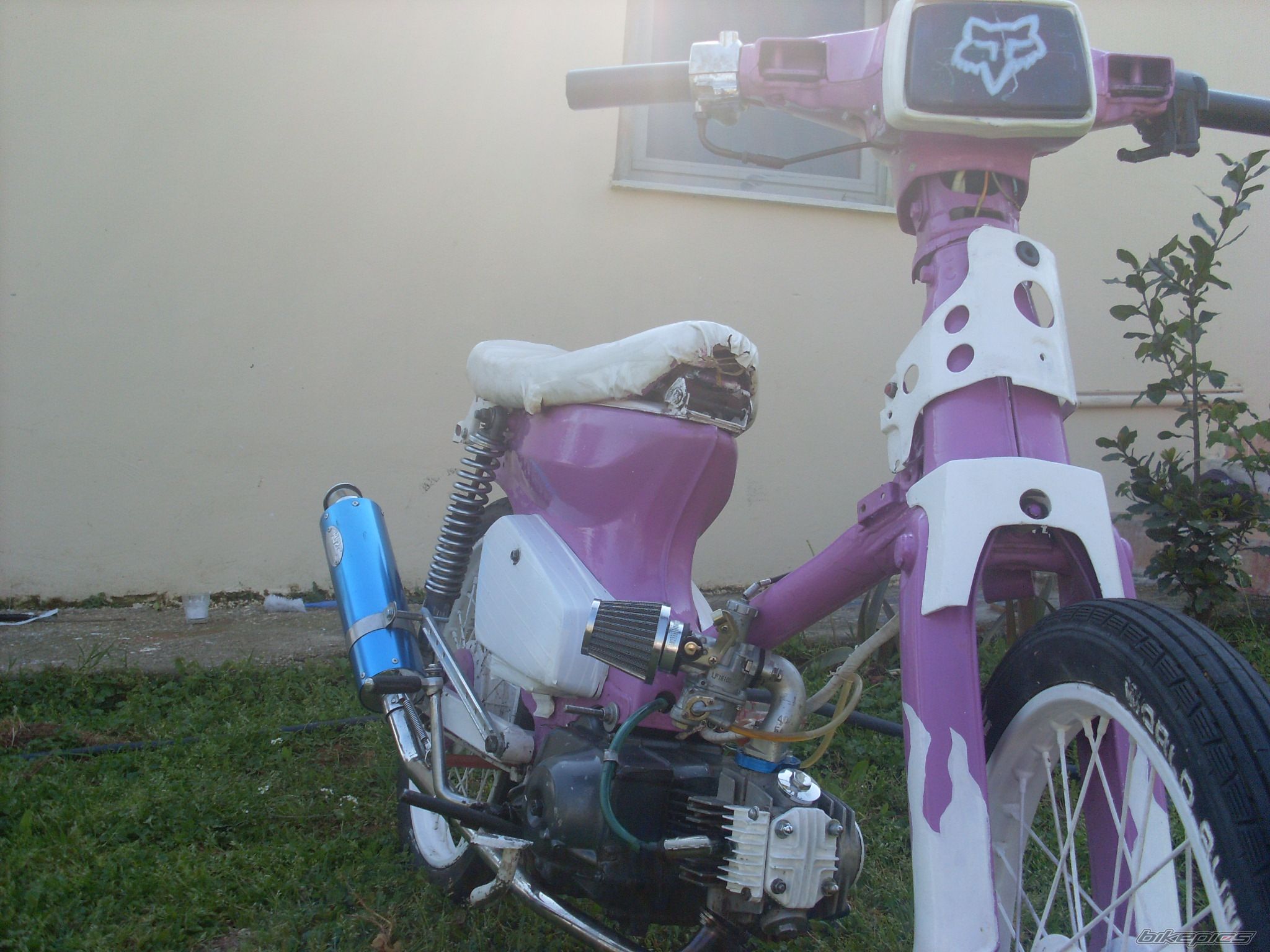 Photo 2225079