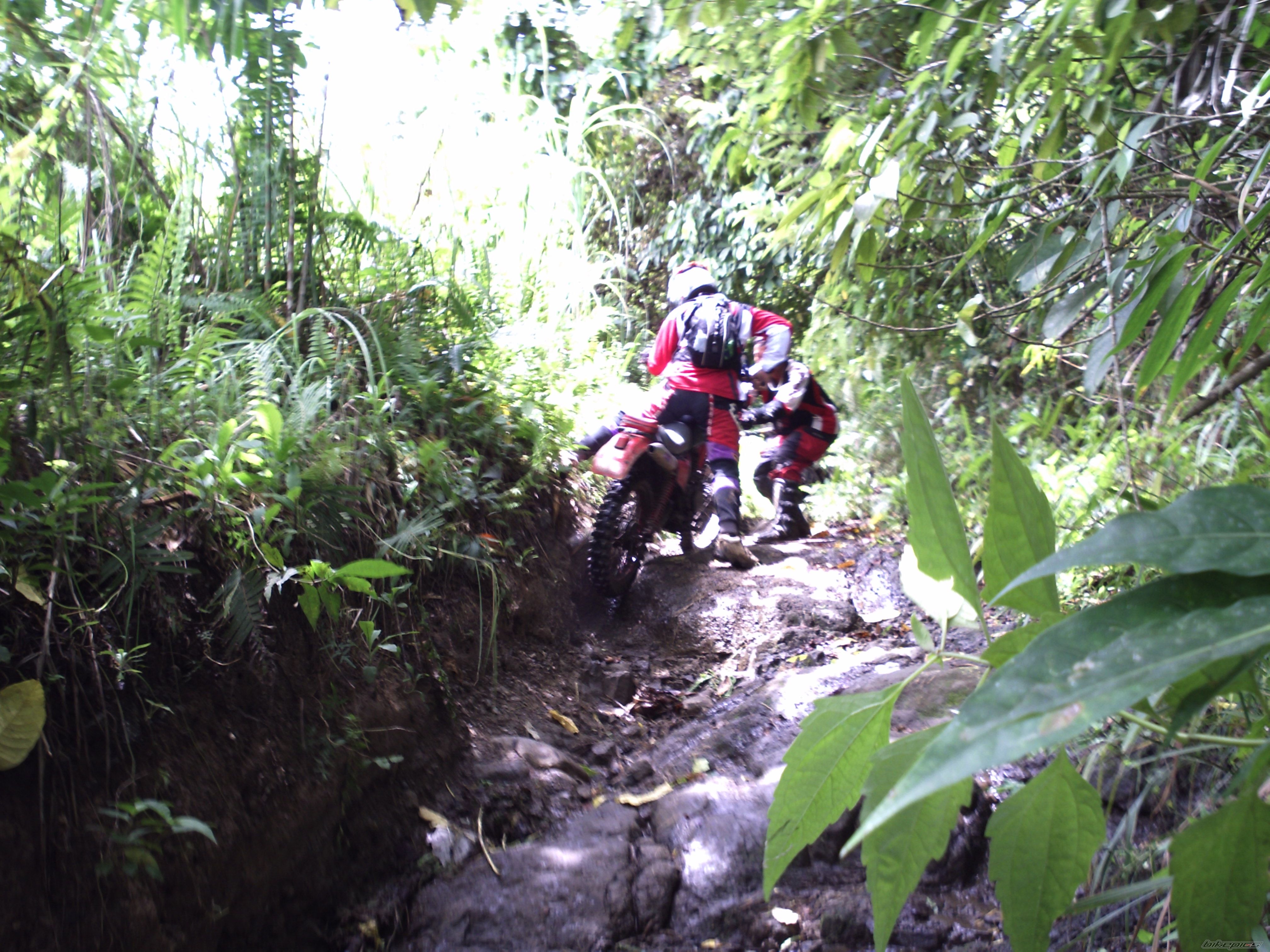 Photo 2225090
