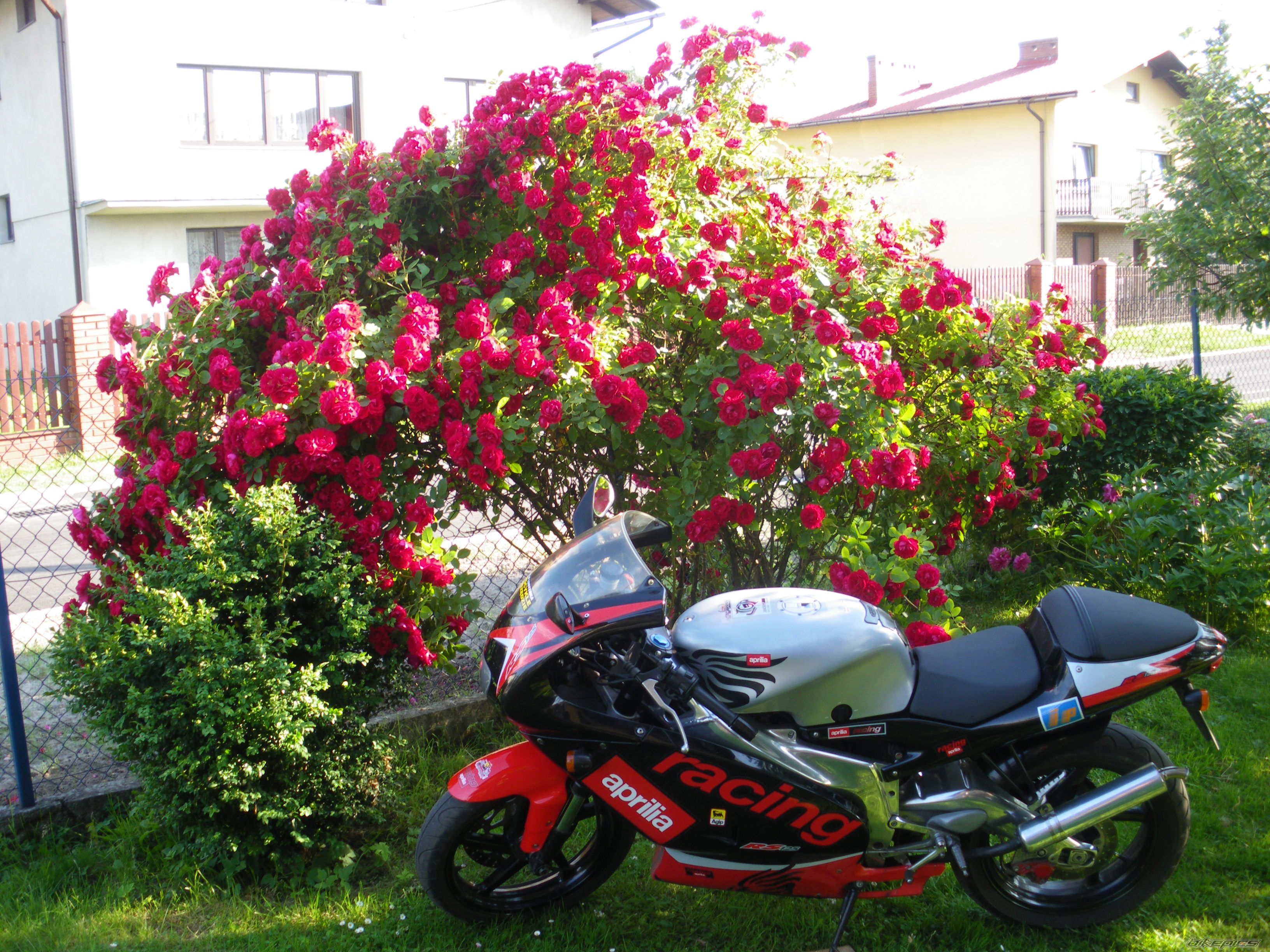 Photo 2225109