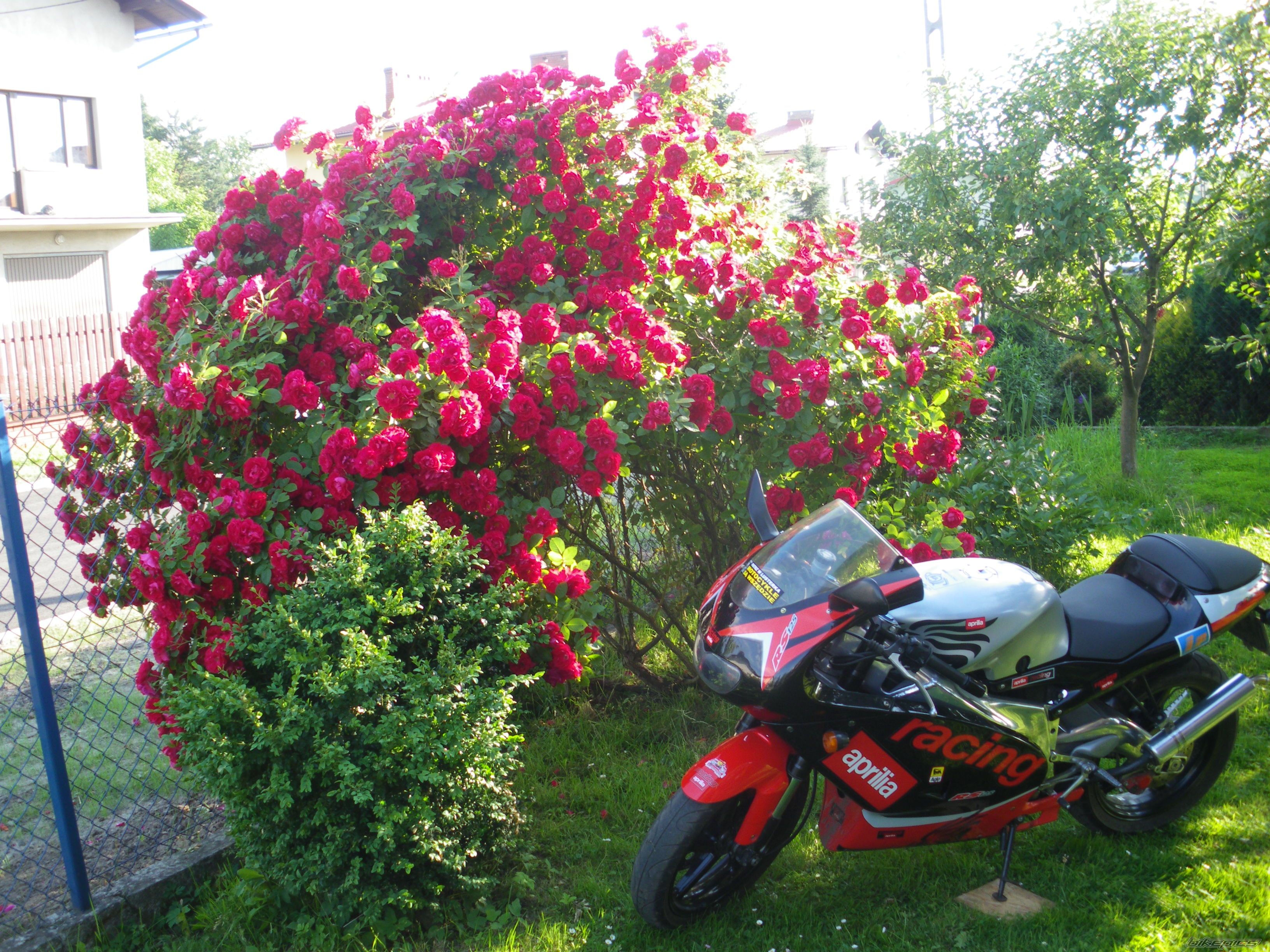 Photo 2225111