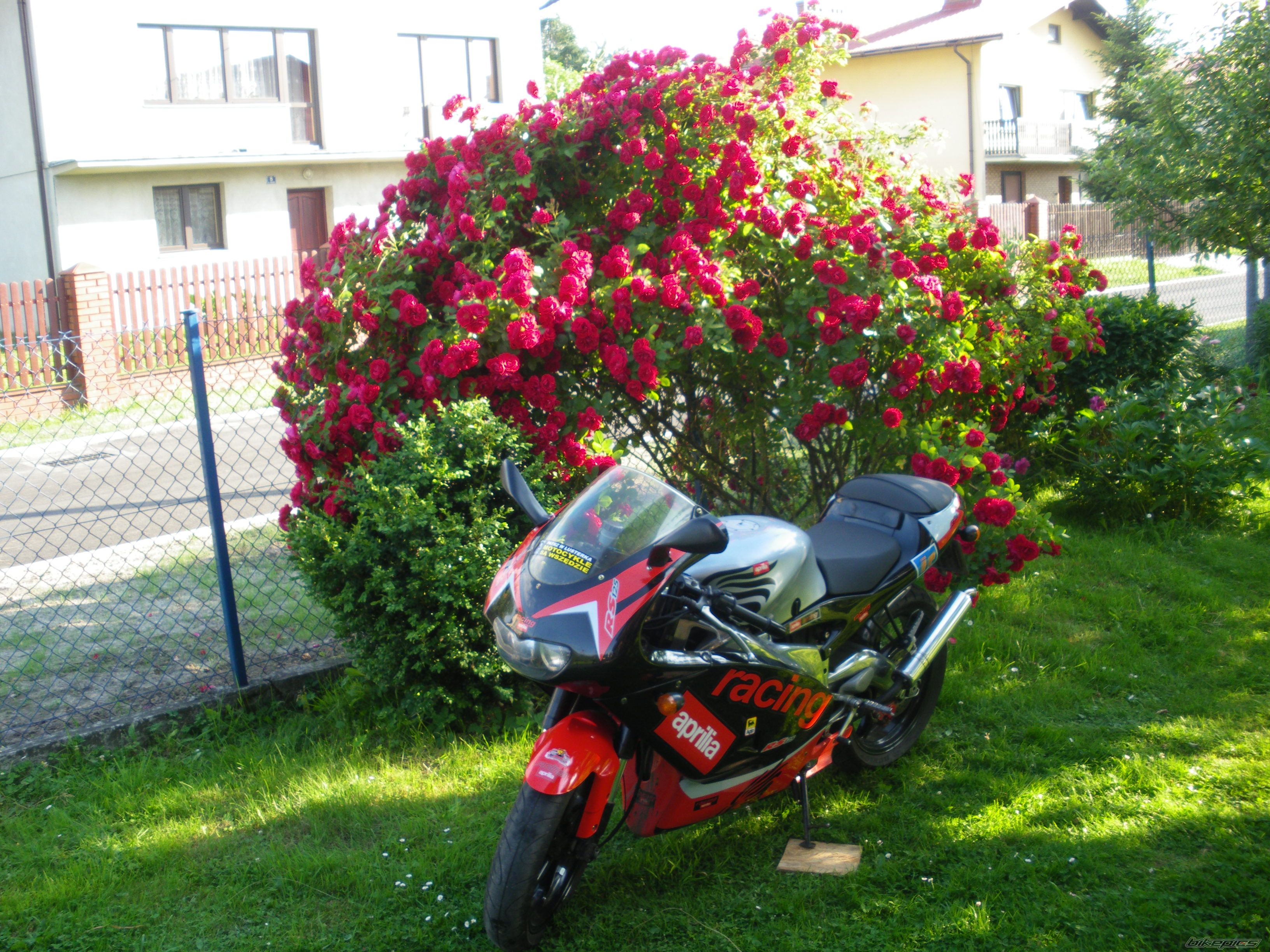Photo 2225112