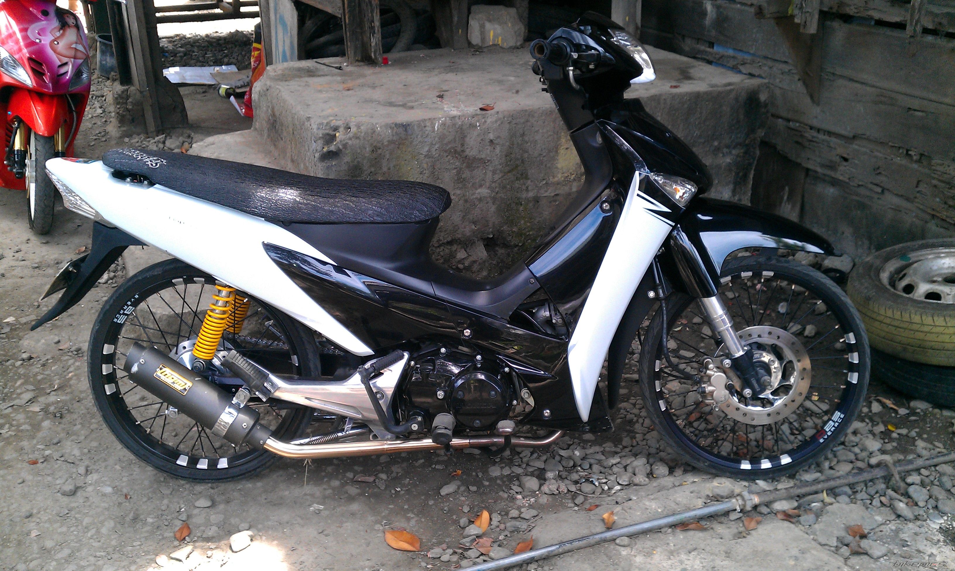 Photo 2225513