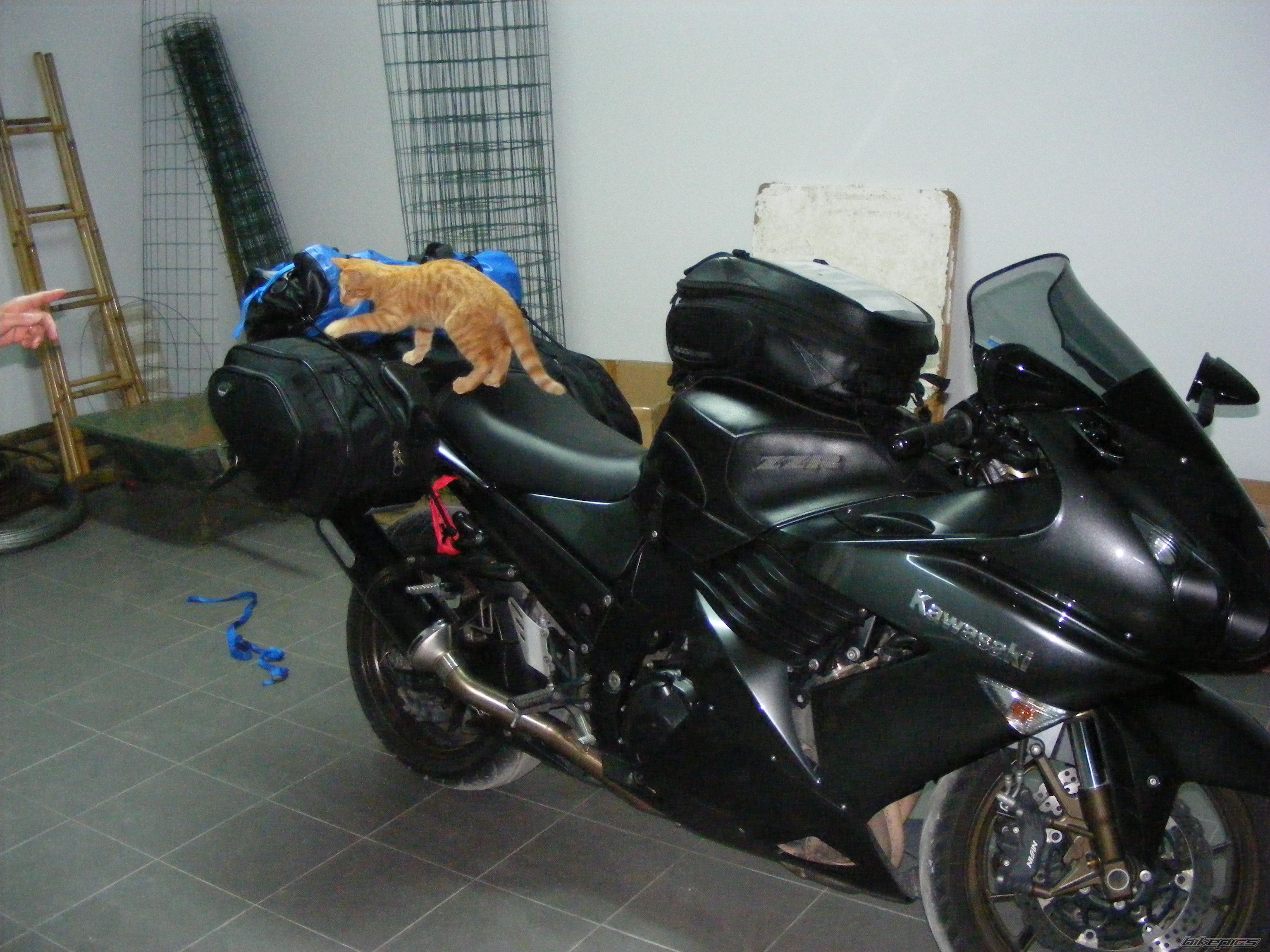 Photo 2225570