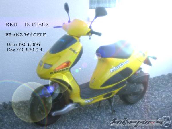 Photo 222559