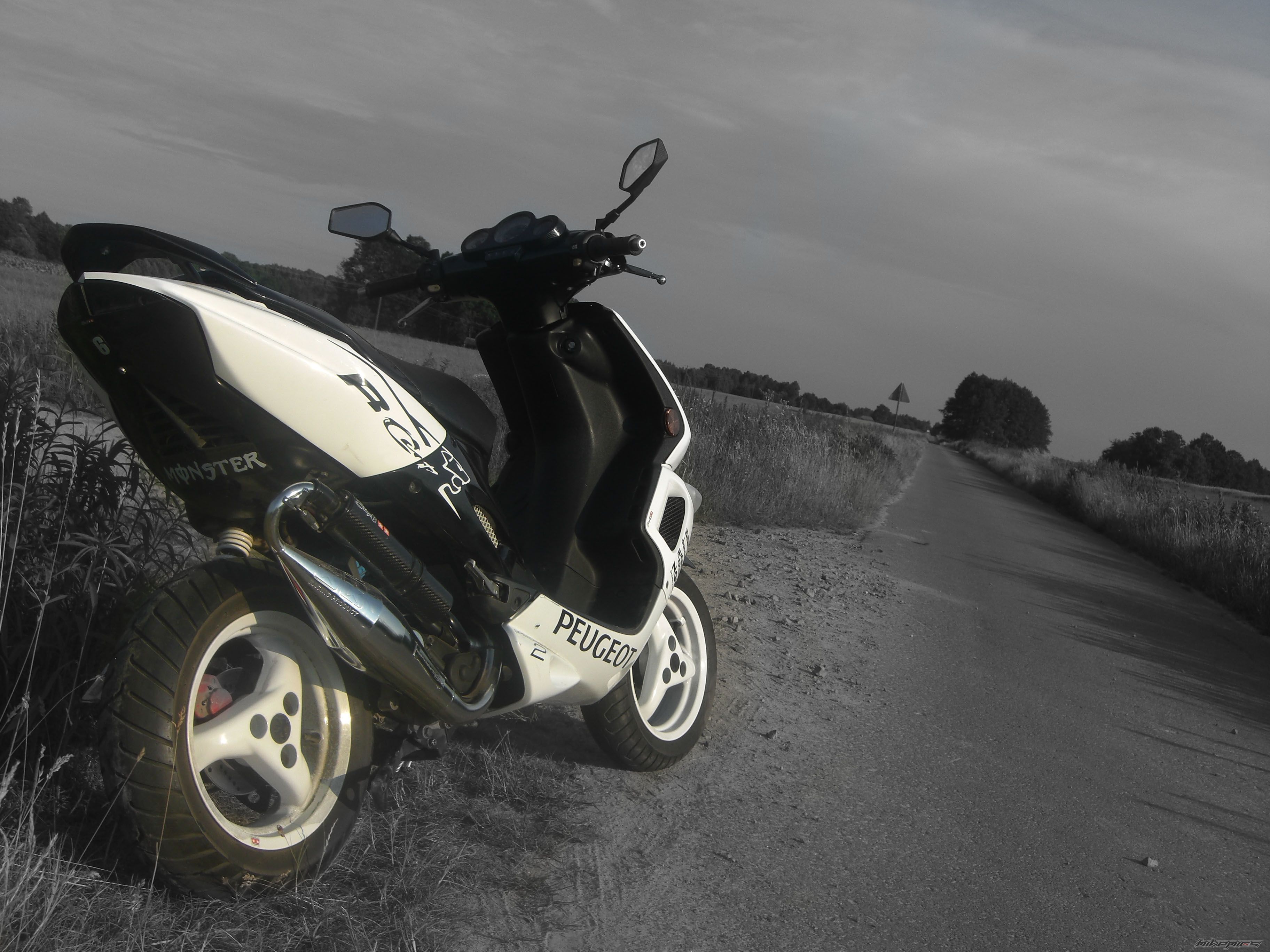 Photo 2225695