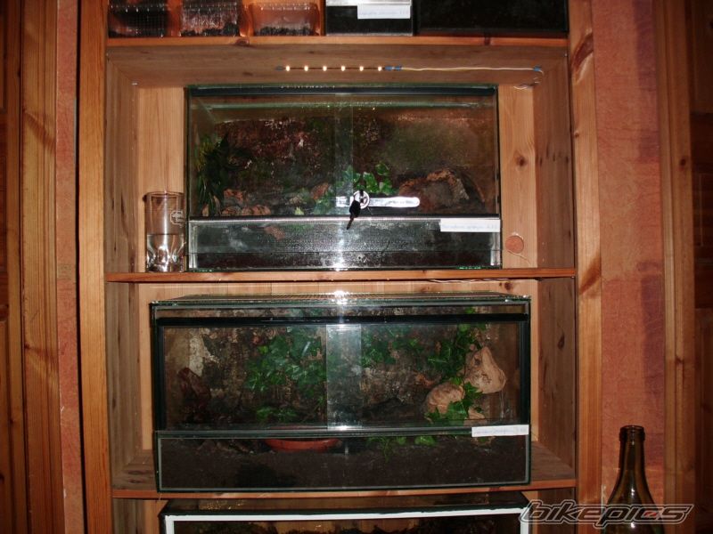 Photo 2225714