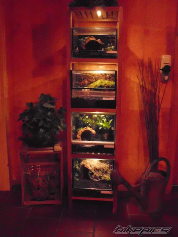 Photo 2225720