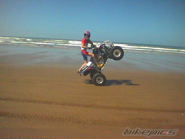 Photo 222583