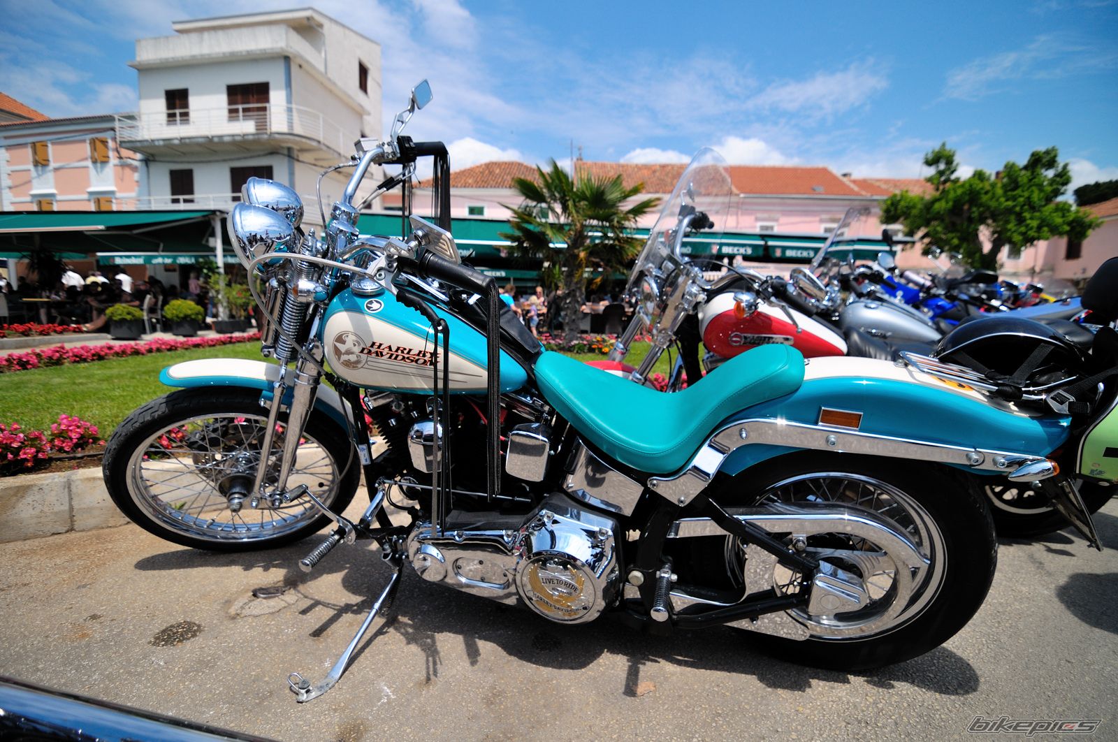 Photo 2225856
