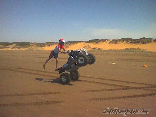 Photo 222587