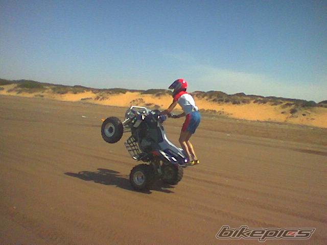 Photo 222588