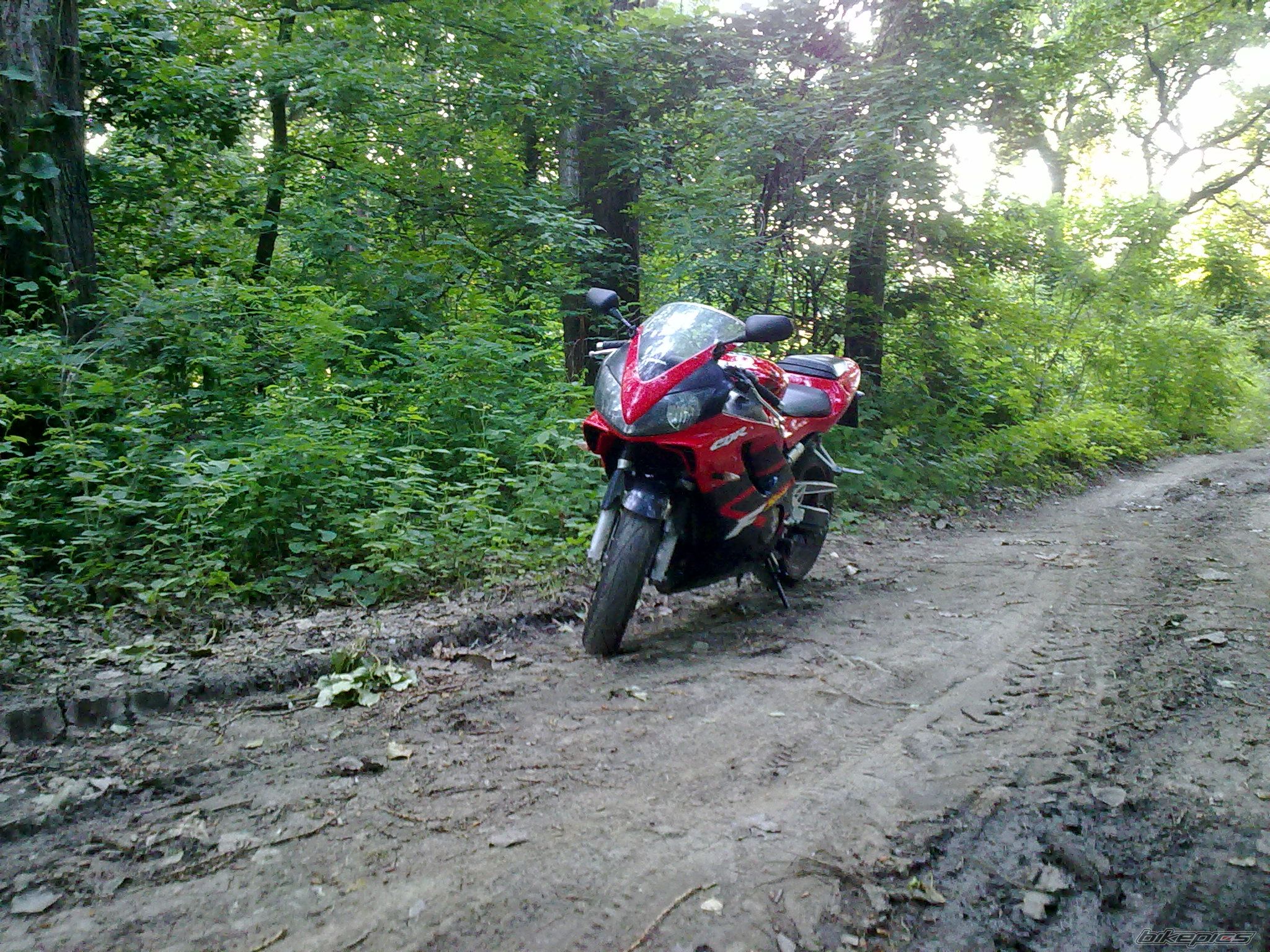 Photo 2226053