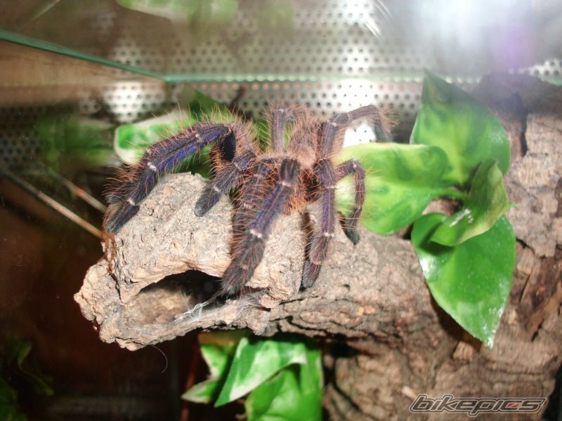 Photo 2226218