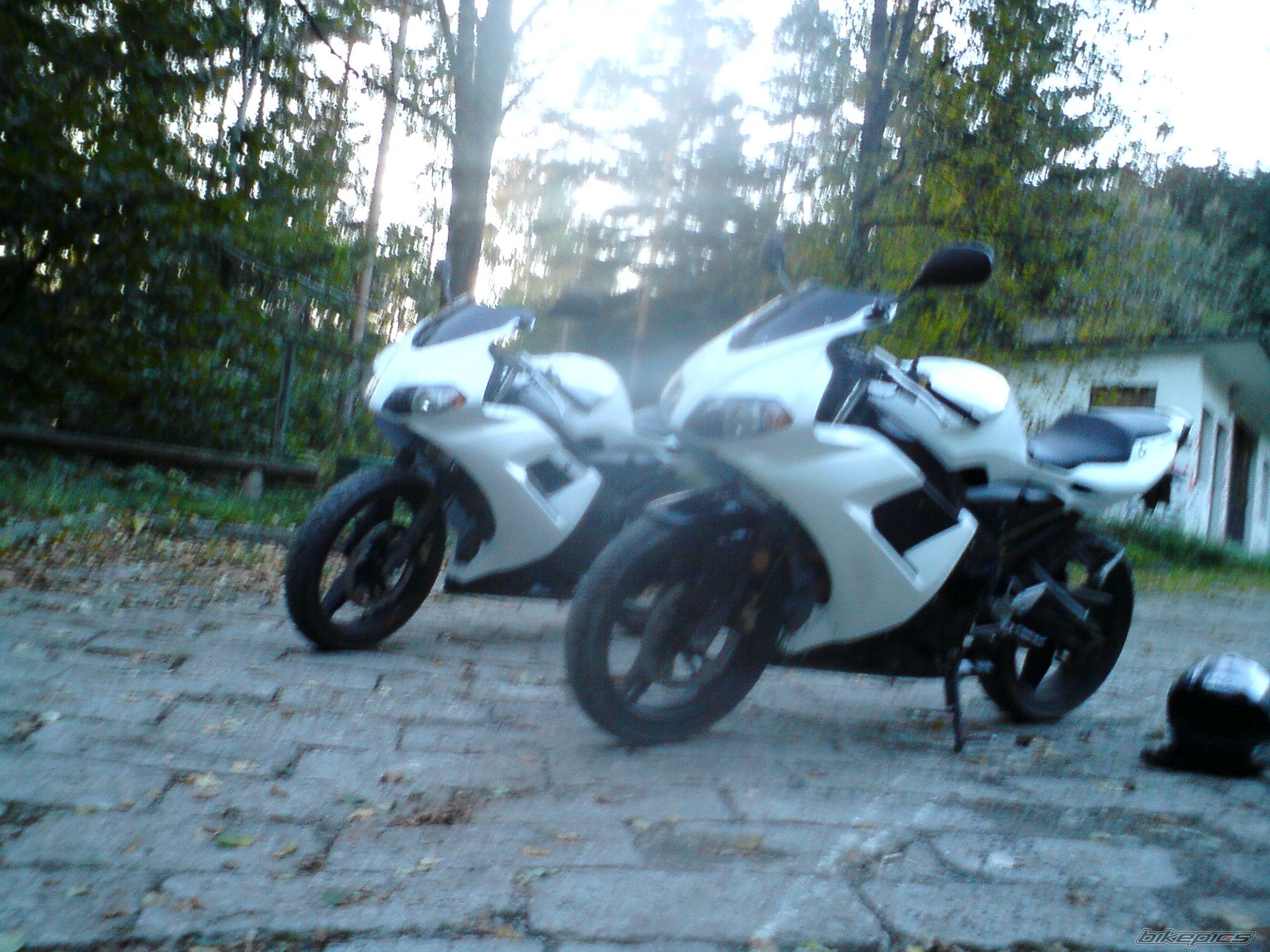 Photo 2226222