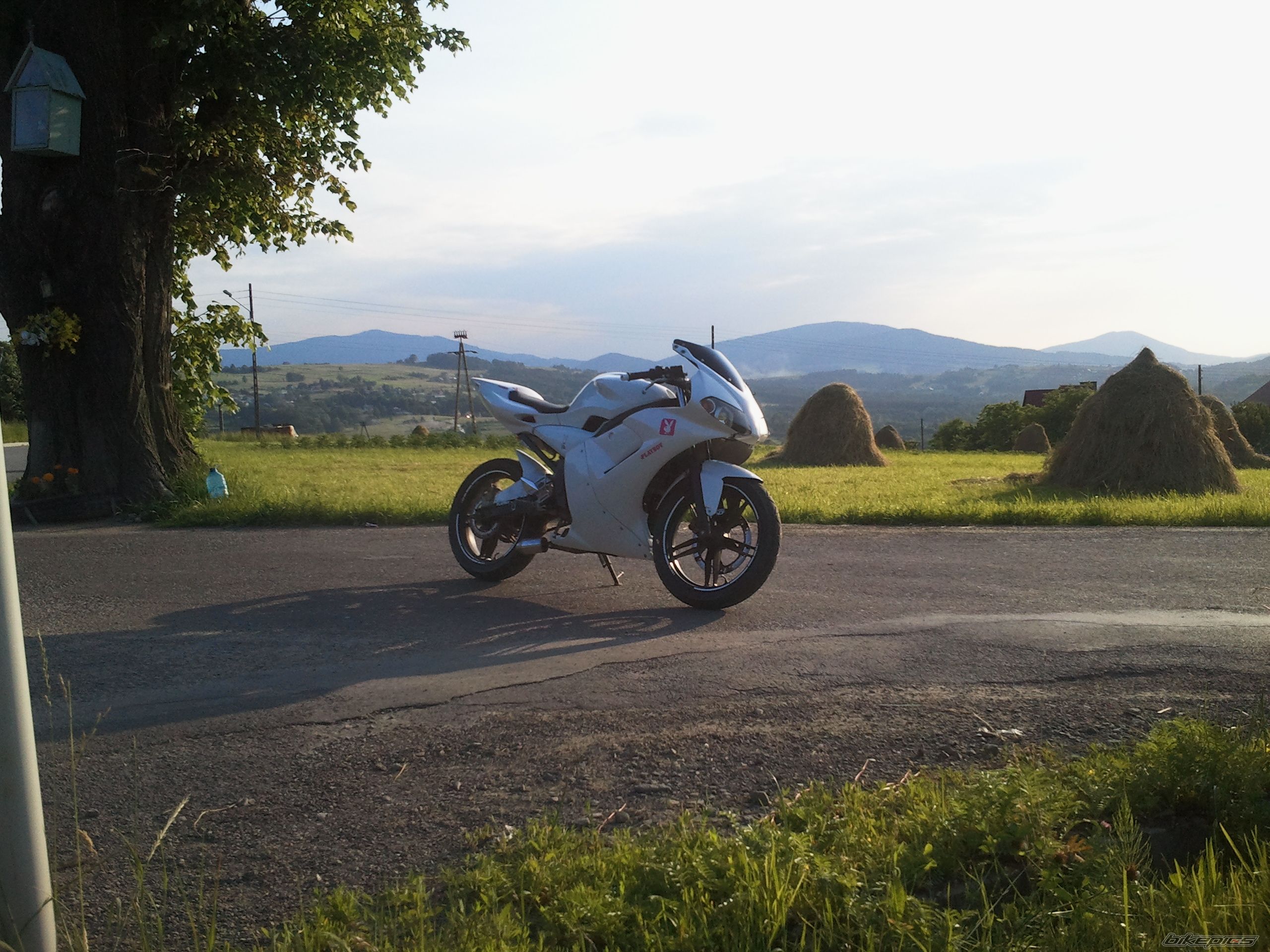 Photo 2226268