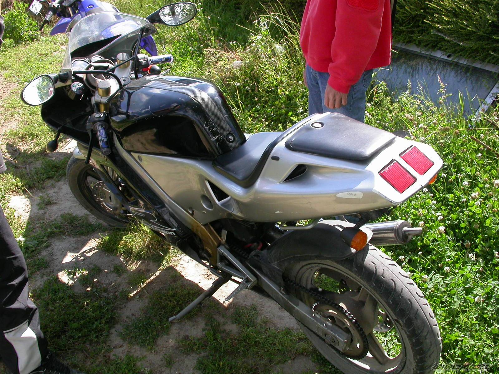 Photo 222629