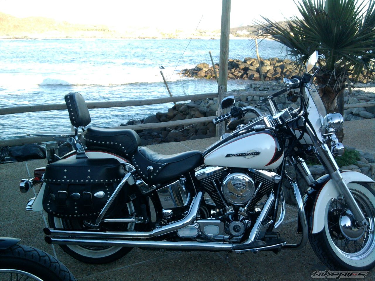 Photo 2226305