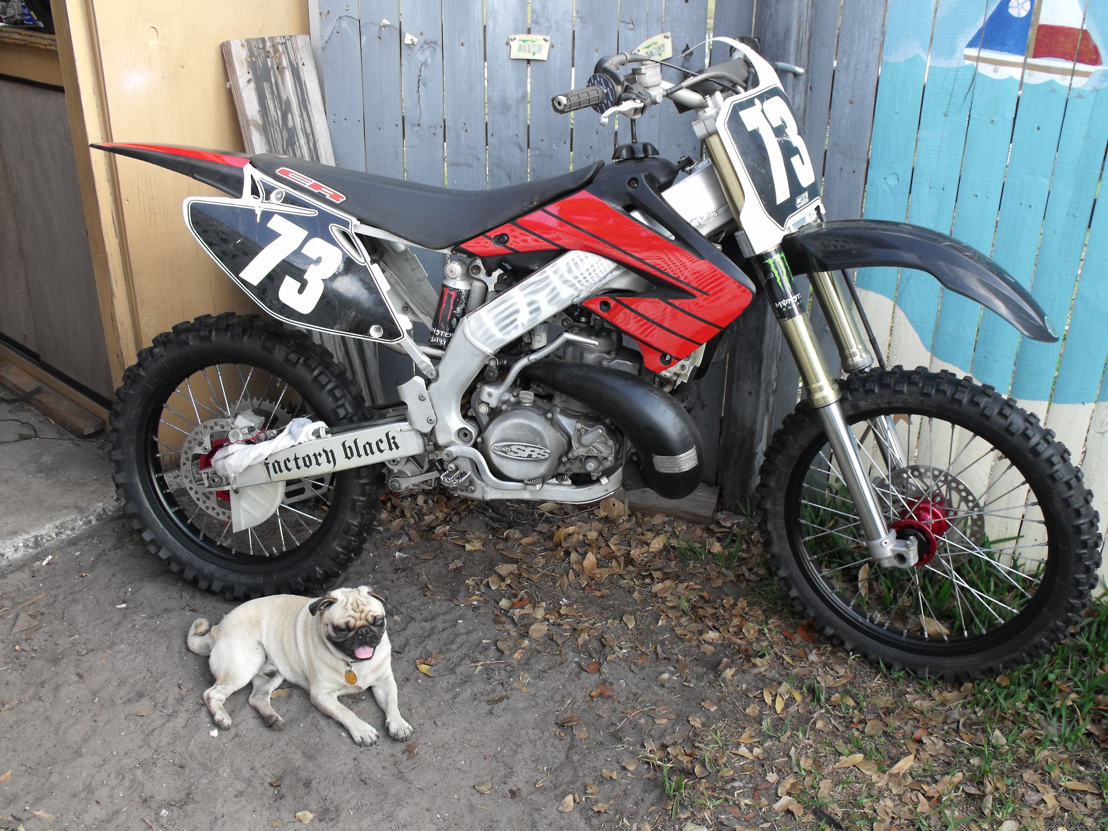 Photo 2226332