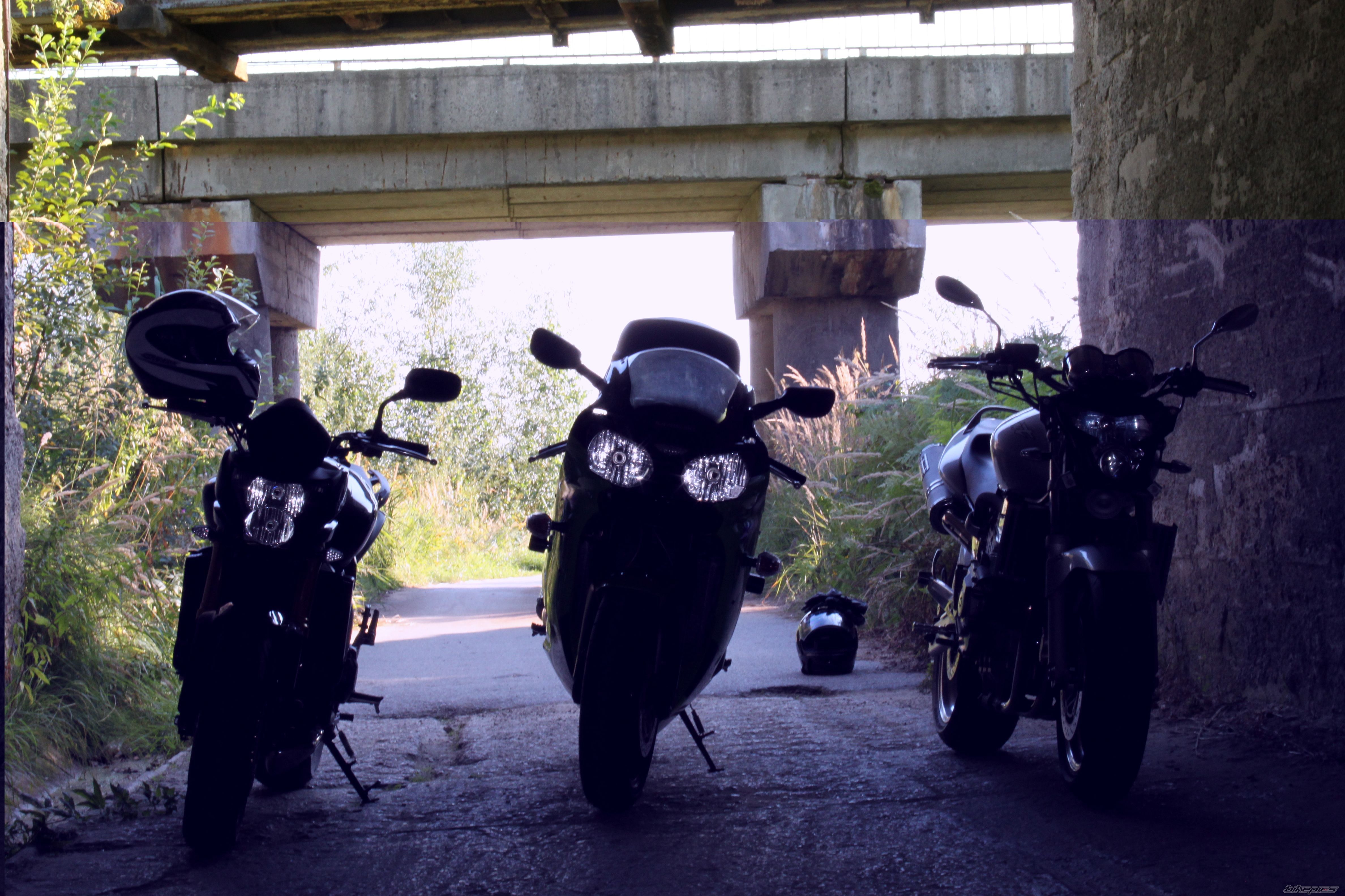 Photo 2226412