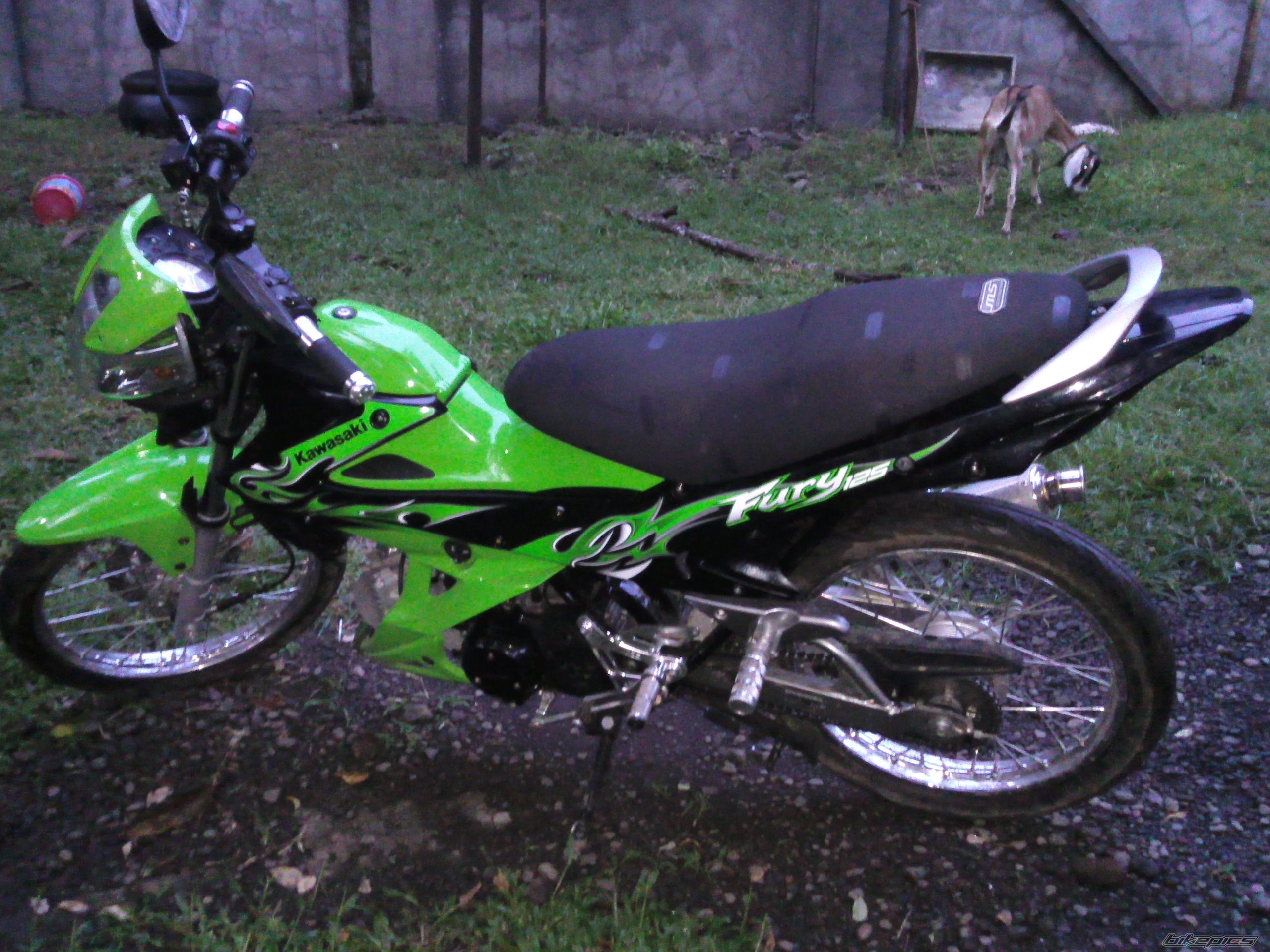 Photo 2226459