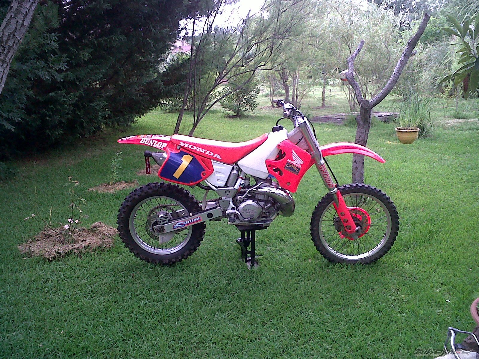 Photo 2226711