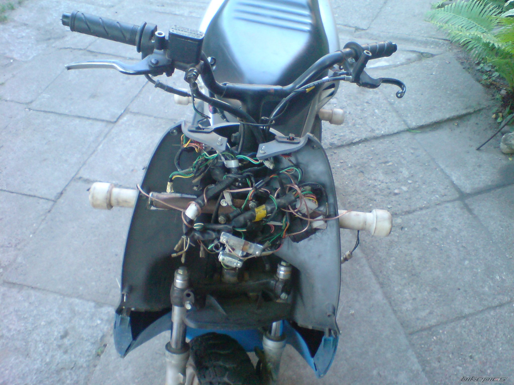 Photo 2226739