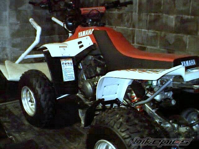 Photo 222683