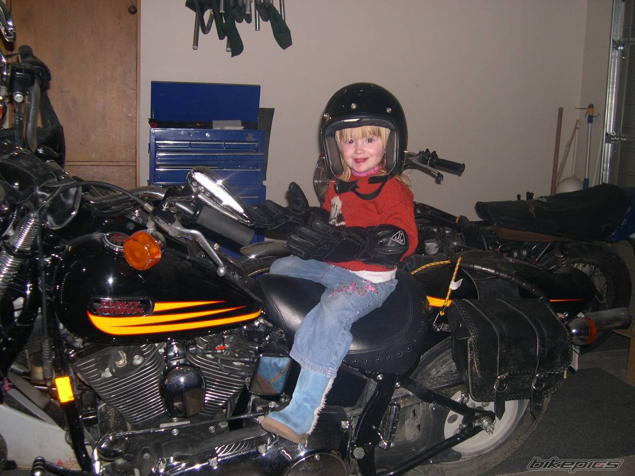 Photo 222693