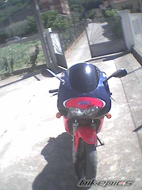 Photo 2226960