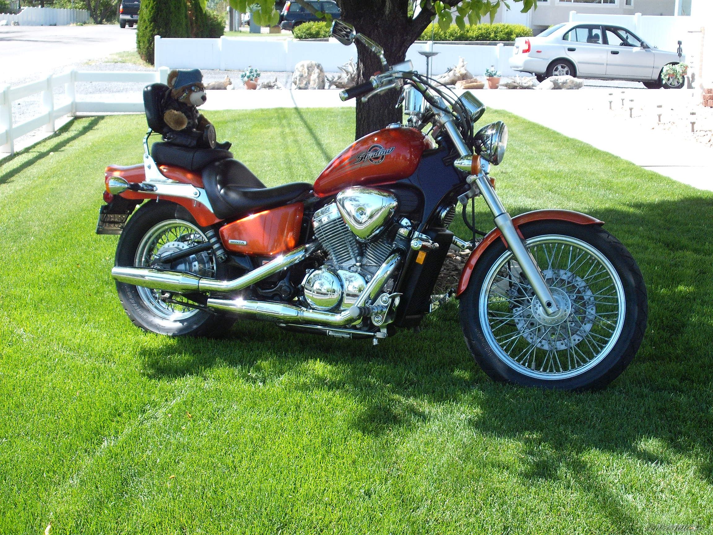 Photo 2227189