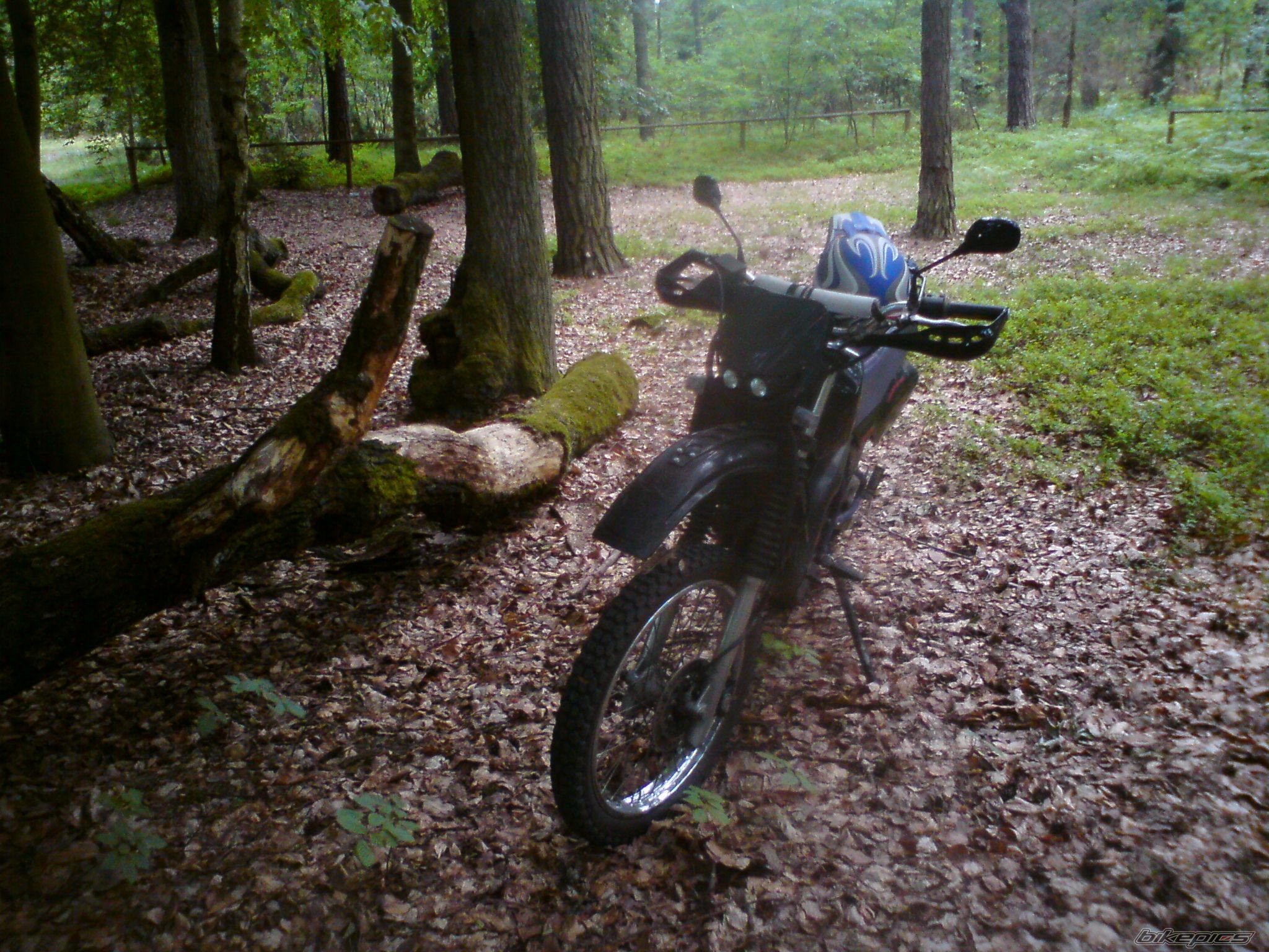 Photo 2227229