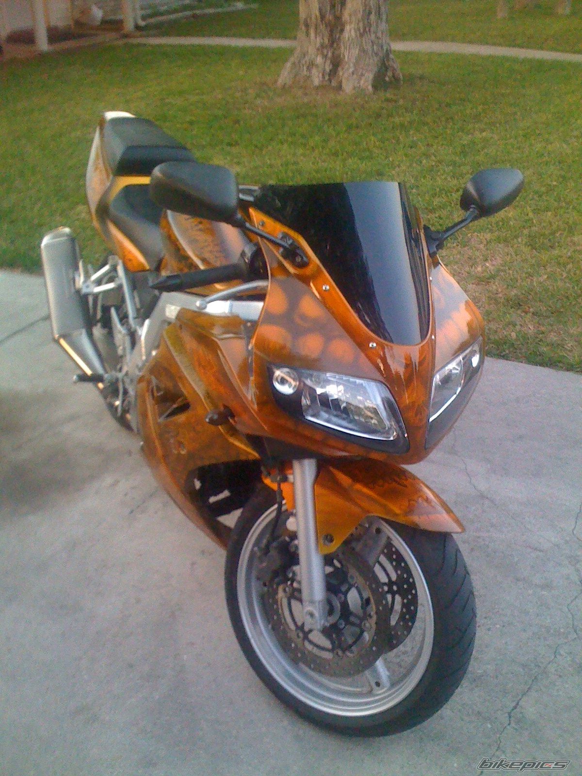 Photo 2227367