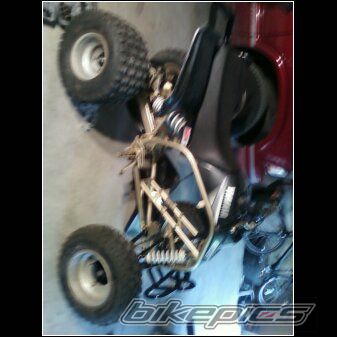Photo 2227398
