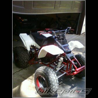 Photo 2227405