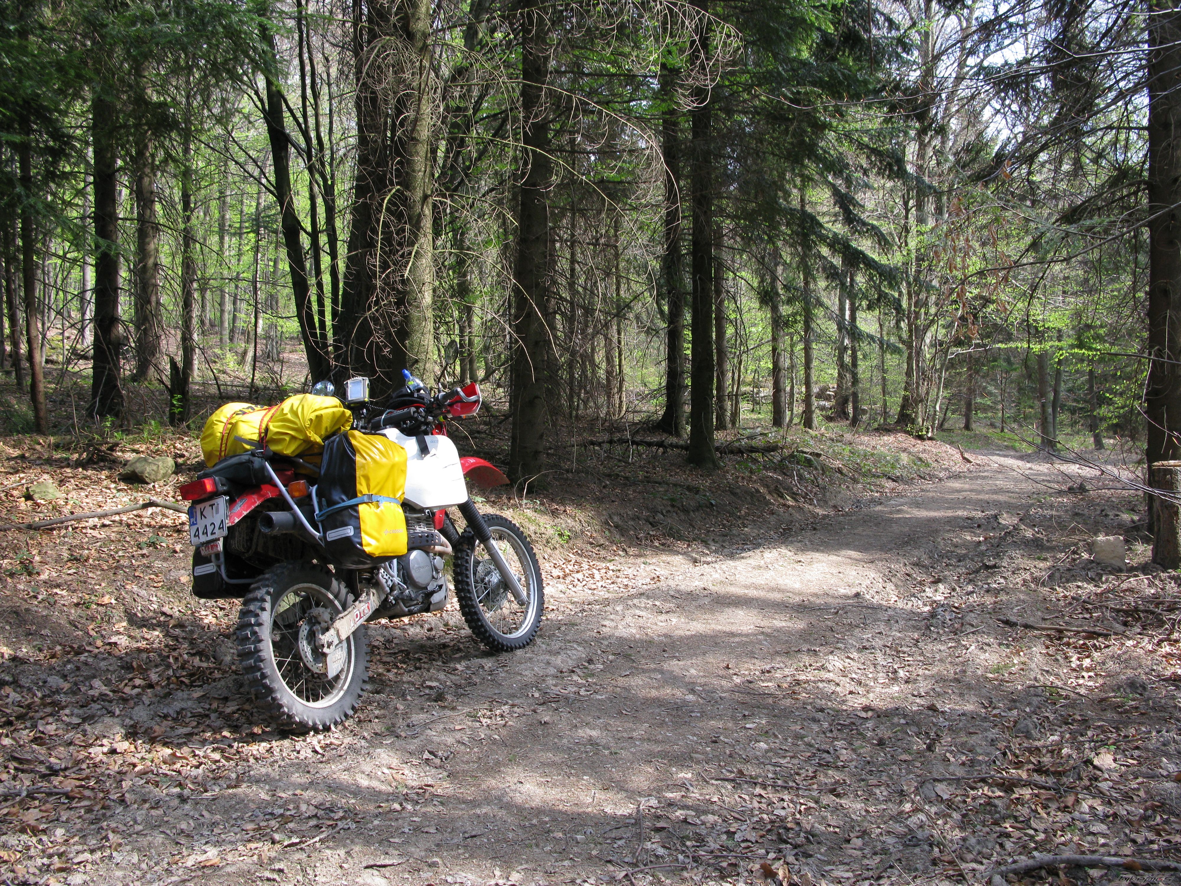 Photo 2227419
