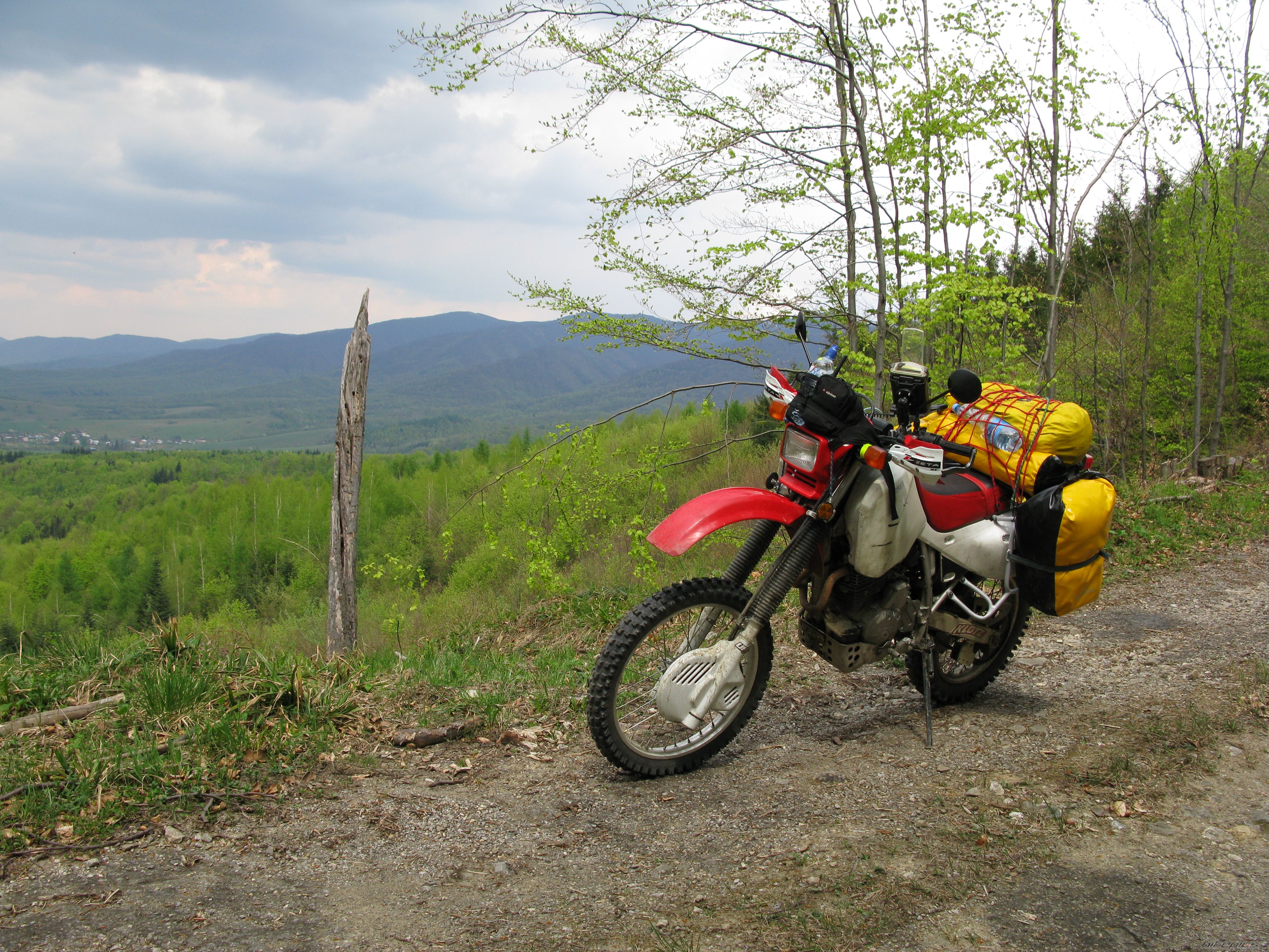 Photo 2227421