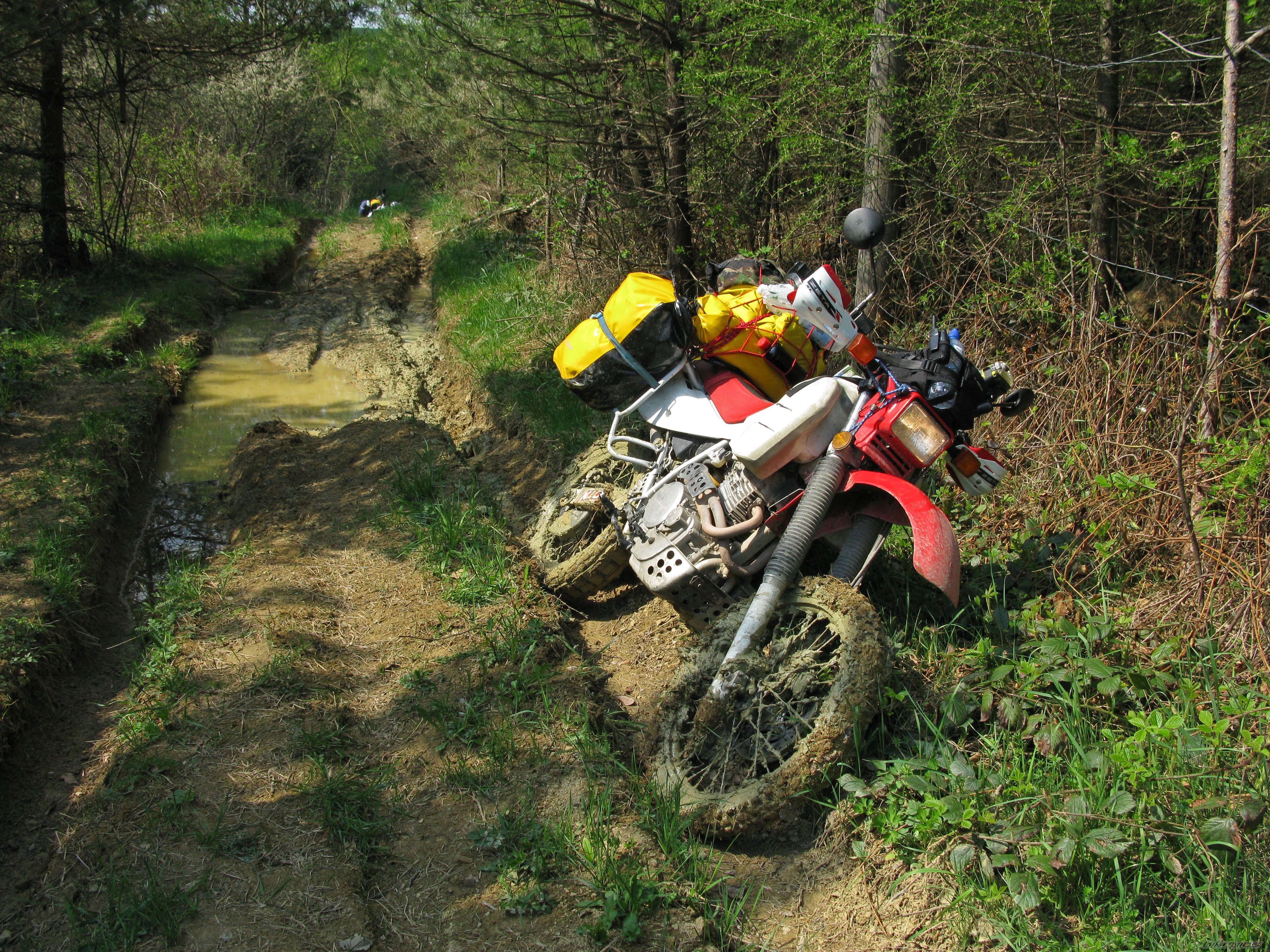 Photo 2227425