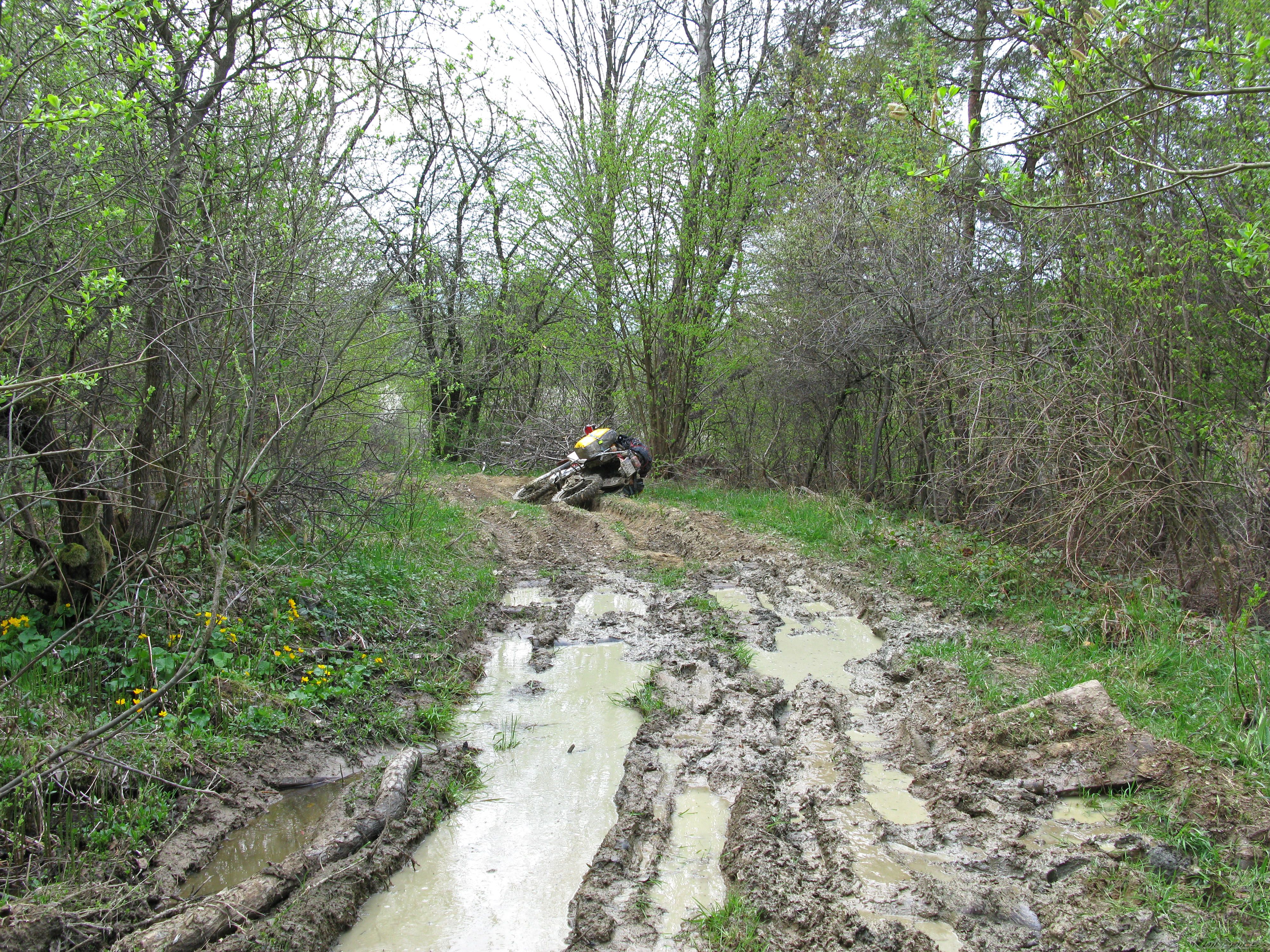 Photo 2227426