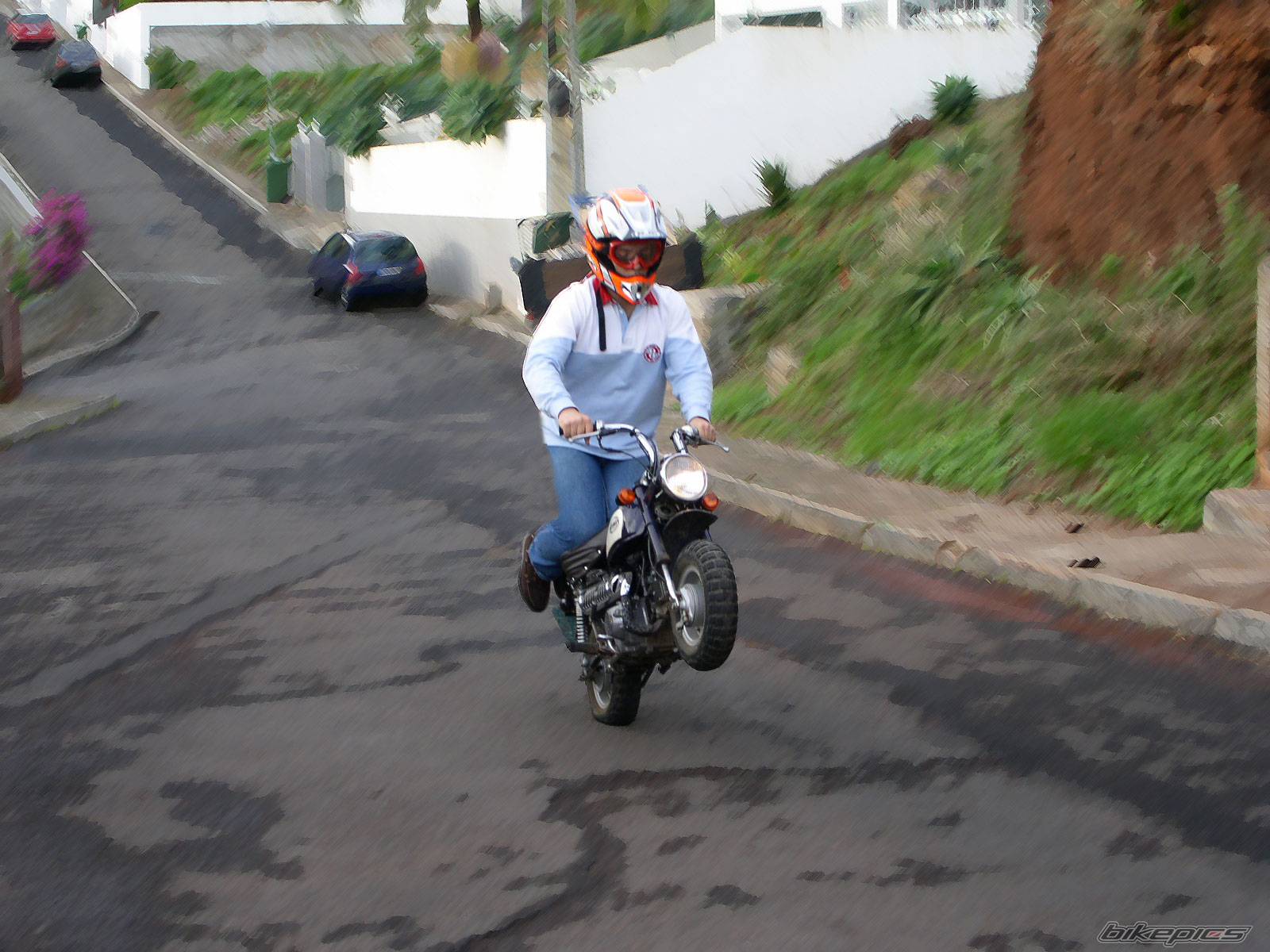 Photo 222747