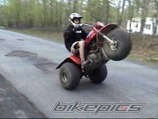 Photo 222748