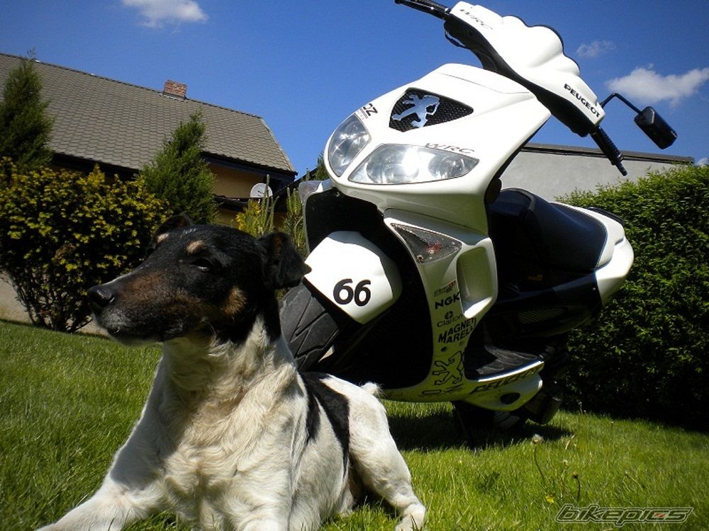 Bike Photo 2227654