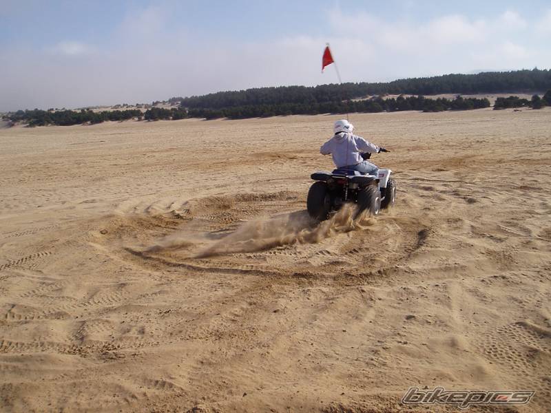 Photo 222779