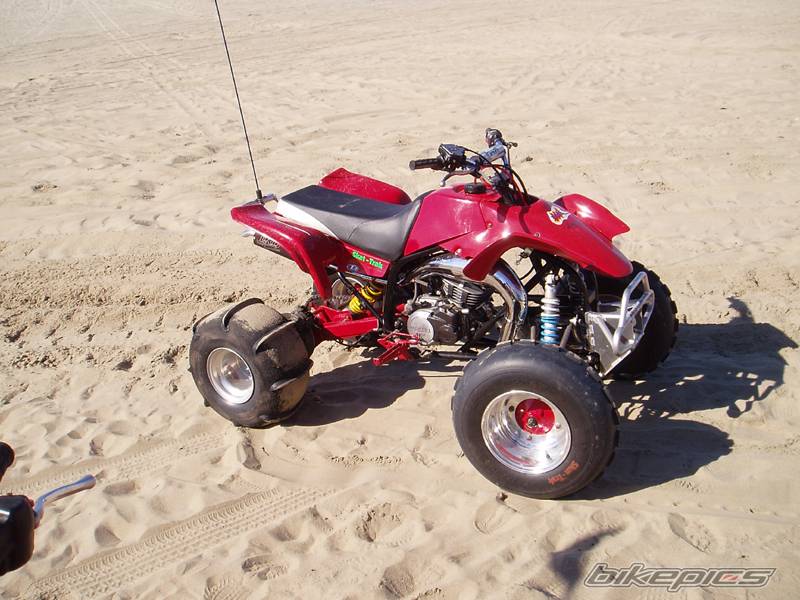 Photo 222780