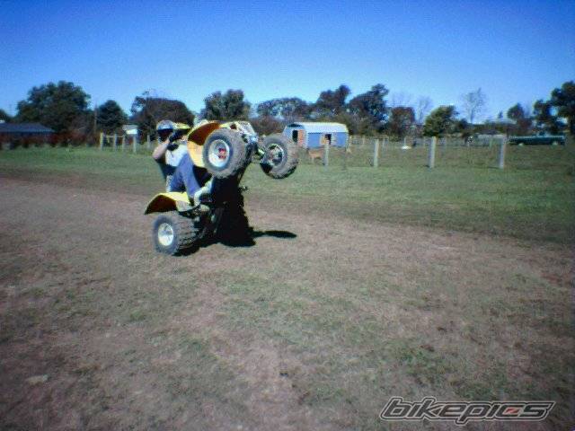Photo 222785