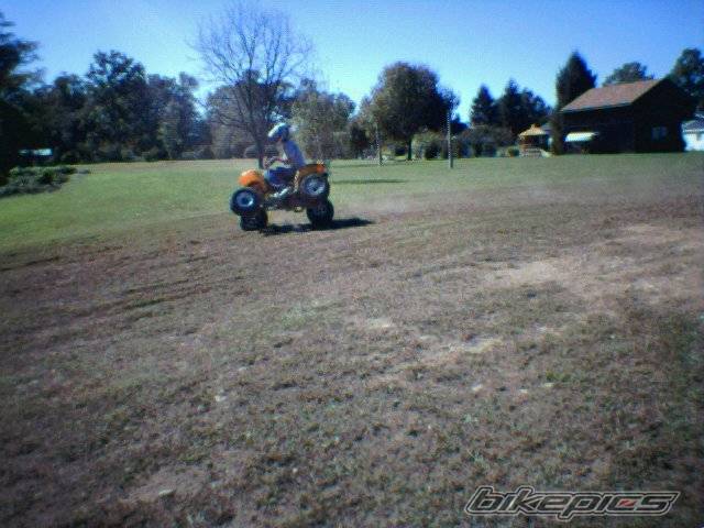 Photo 222789