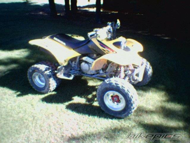 Photo 222797